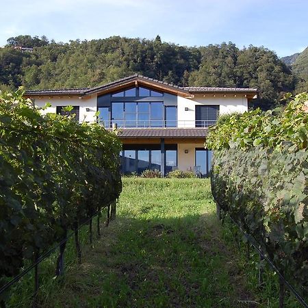 B&B Il Vigneto Melano Luaran gambar