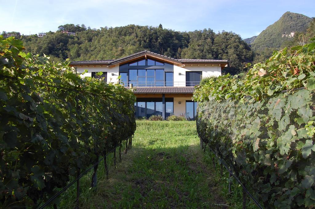 B&B Il Vigneto Melano Luaran gambar
