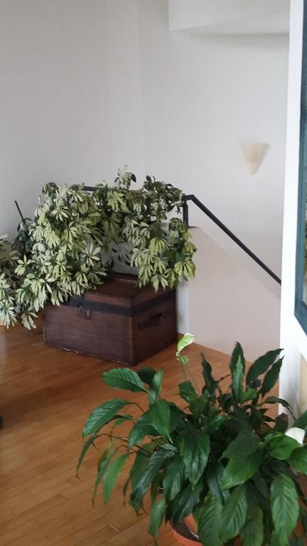 B&B Il Vigneto Melano Luaran gambar